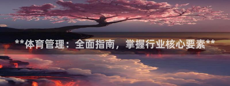 必一体育运动平台官网