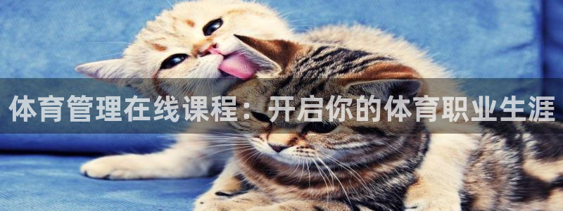 必一体育官网网站：体