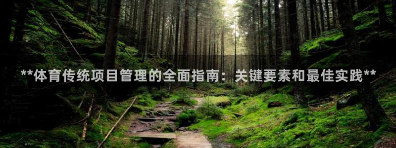 必一体育bsport