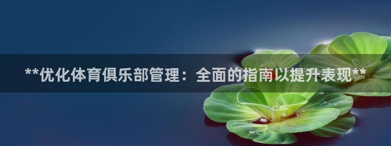 必一体育登录APP下