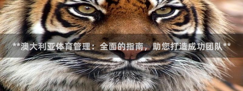 必一体育sportB
