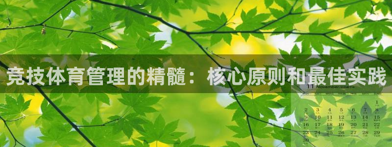 必一体育是啥：竞技体