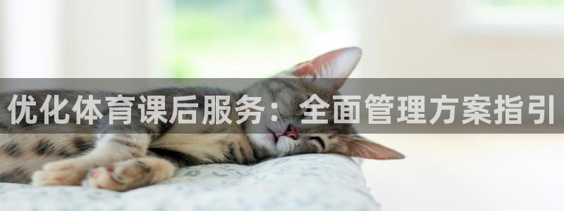 必一体育下载：优化体