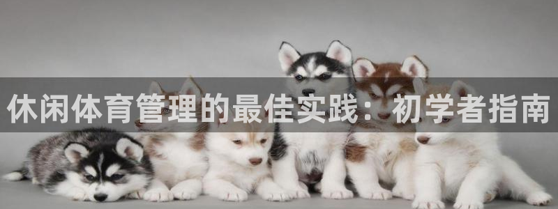 必一体育在线入口：休