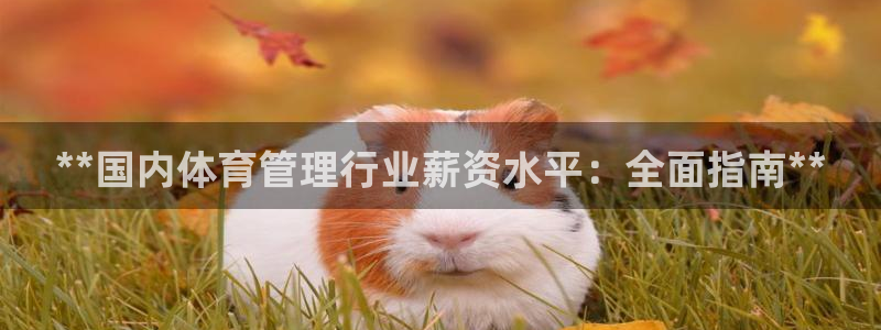 必一体育合法吗：**