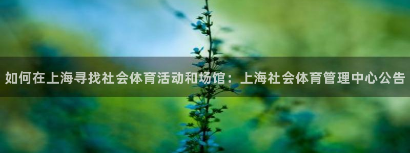 必一体育登录：如何在