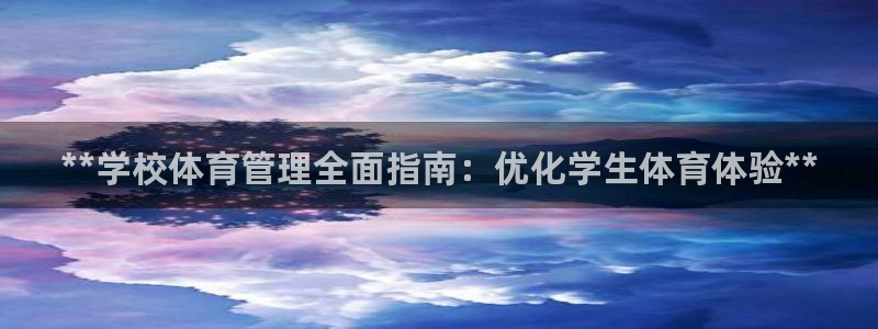 必一体育sport下
