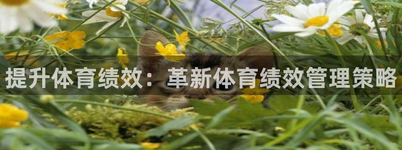 必一体育在线入口