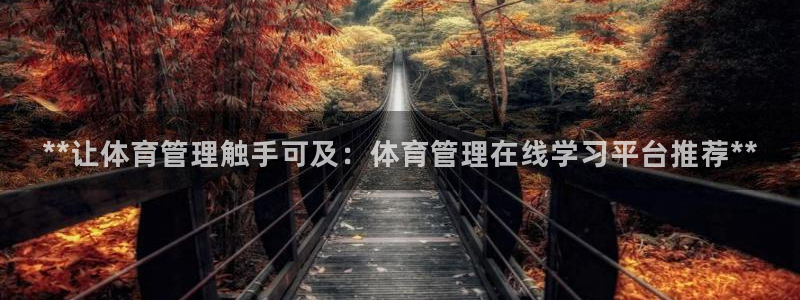 必一体育最新官网入口