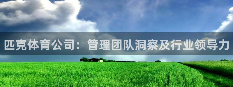 必一体育app官方下