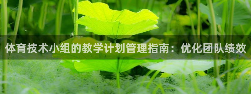 必一体育在线下载：体