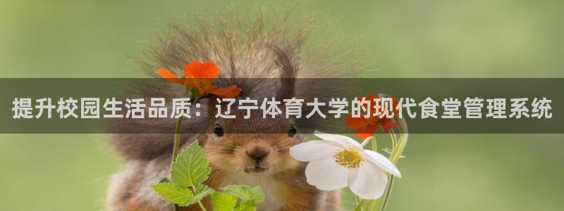 b体育必一运动网页版