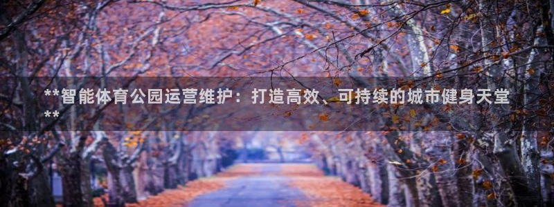 b体育必一运动网页版