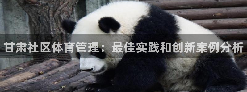 必一体育登录入口：甘