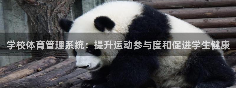 必一体育运动平台官网