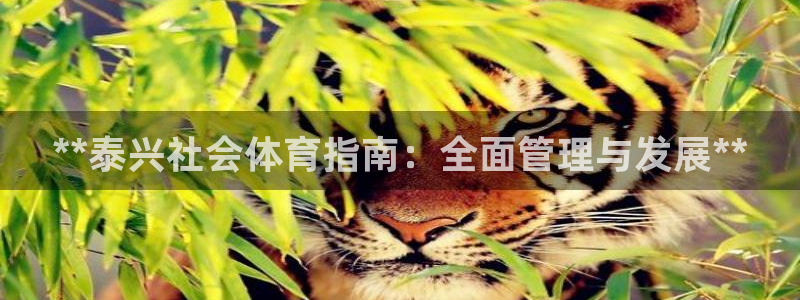 必一体育服下载最新版