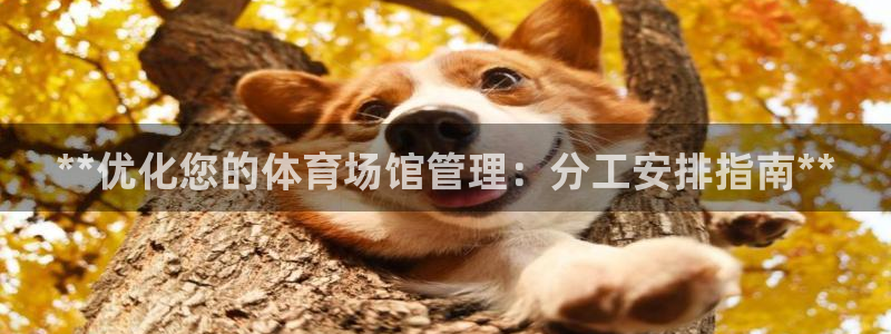 必一运动 b 体育素