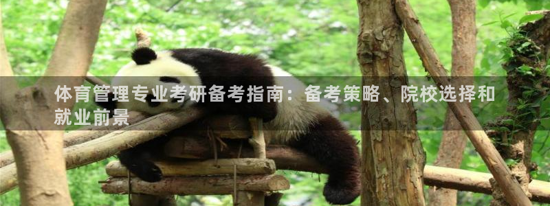必一体育app下载最