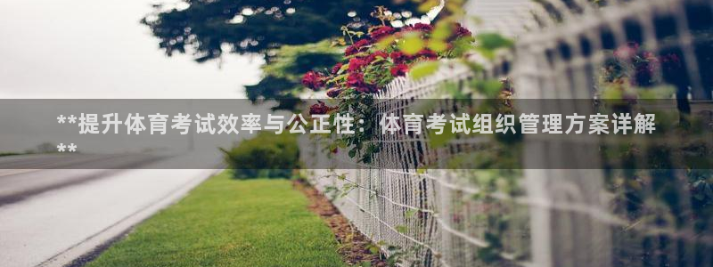 必一体育sport装