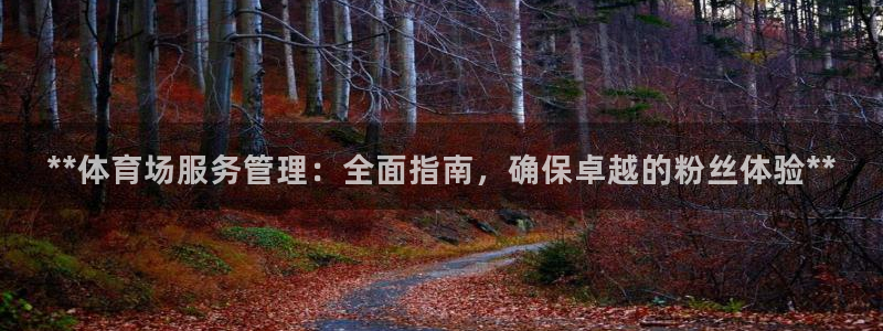 必一体育sport官