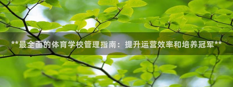 必一体育运动下载：*
