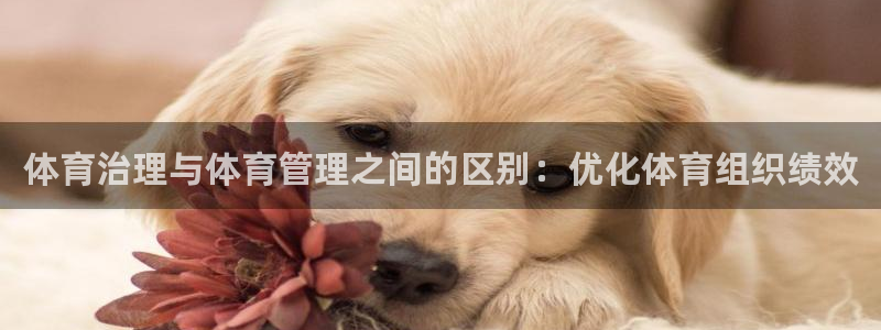 必一体育合法吗：体育