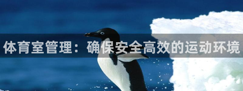 必一体育验证码：体育