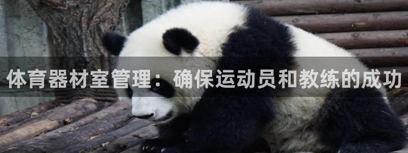 必一体育游戏玩法：体
