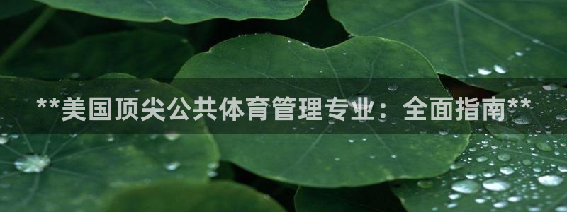 必一体育最新官网入口