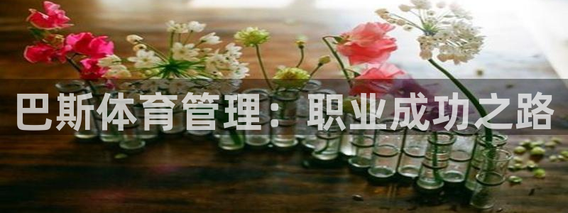 必一体育下载app下