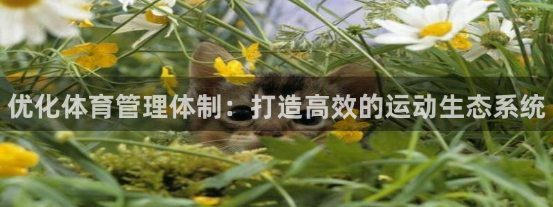 必一体育在线登录：优