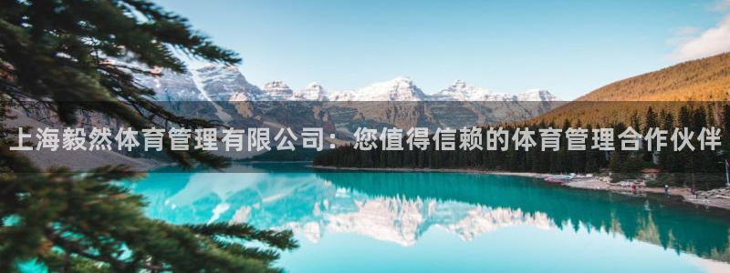 必一体育网页：上海毅