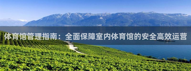 必一体育sport网