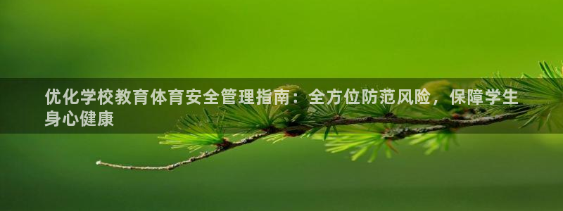 必一体育游戏玩法：优
