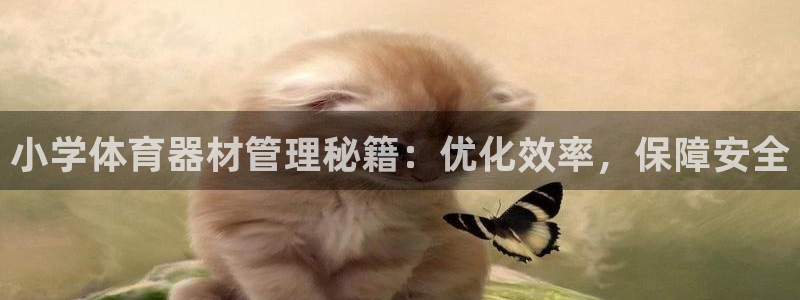必一体育怎么下载：小