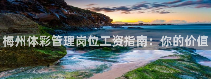 必一运动sport网
