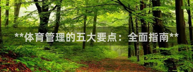 Bsport体育ap