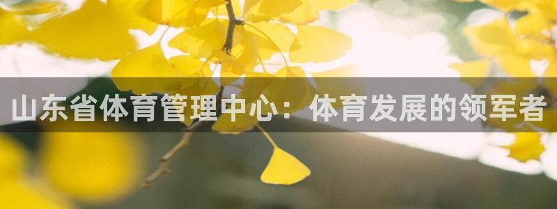 必一体育黑钱：山东省