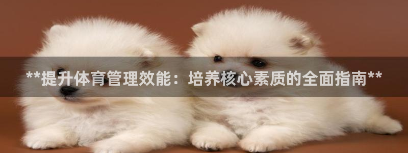 必一体育黑平台：**