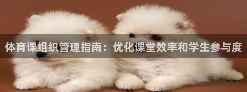 必一体育游戏特色：体