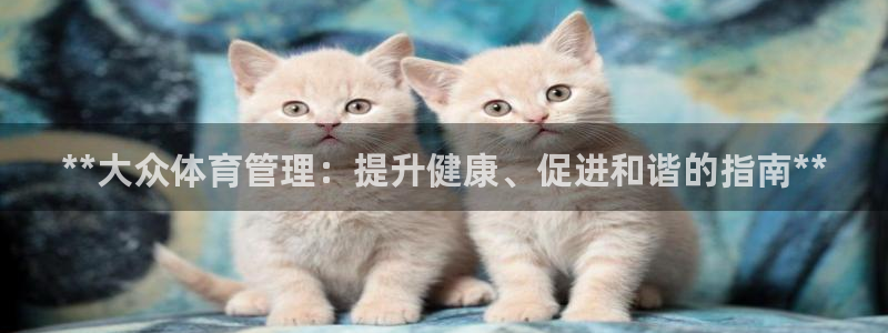 必一体育电子app：