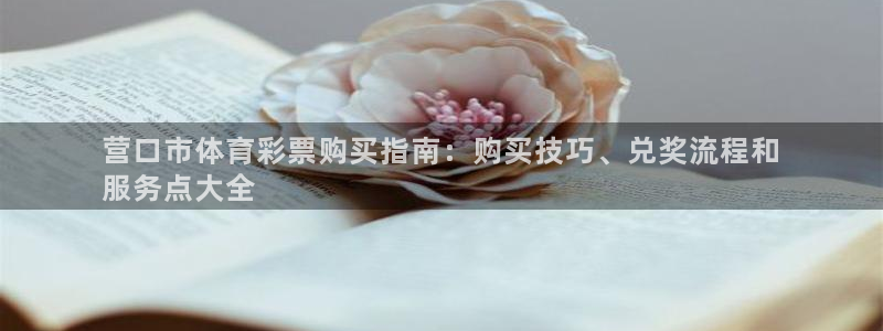 必一体育bsport