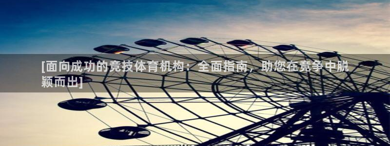 必一体育sportB