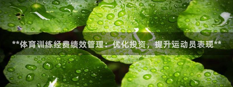 必一体育黑钱：**体