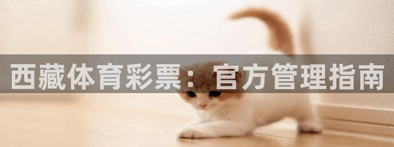 必一运动bsport