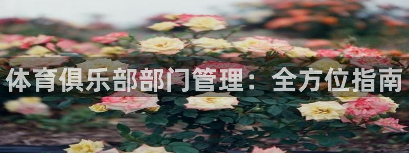 必一体育运动官网：体