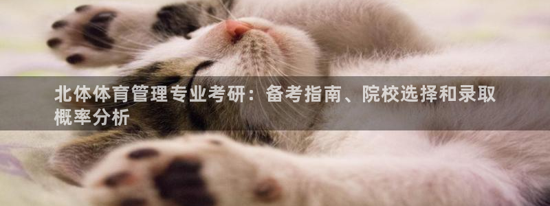 必一运动sport爱