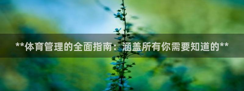 必一体育官方入口：*