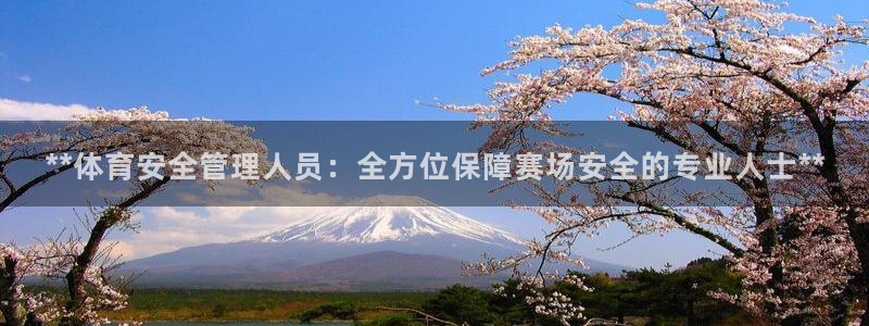 必一体育sport装