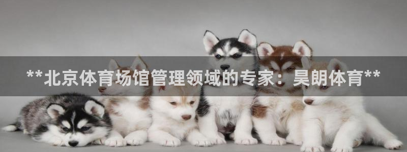b体育必一下载：**